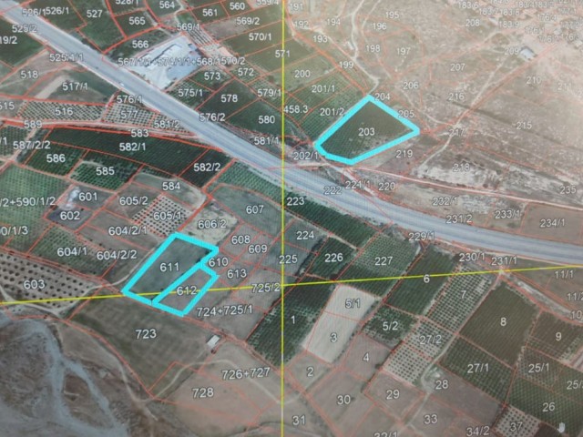 Güzelyurt Nicosia main road, Mevlevi mevki, 8 acres citrus garden facing the road near Saldam Petrile, zoned.25,000 stg acres. ** 