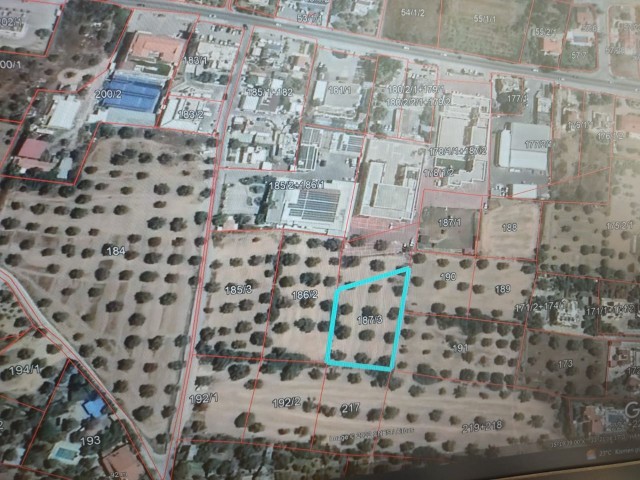 2 acres of villas behind Girne Karakum Doga College, equivalent title deed