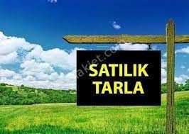 Field For Sale in Zeytinlik, Kyrenia