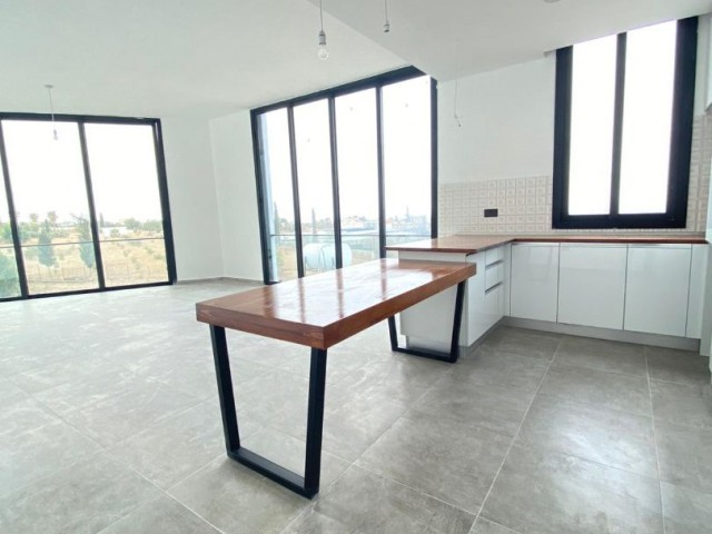 NEW VILLA FOR SALE IN GIRNE/ÇATALKÖY With pool. . . . 