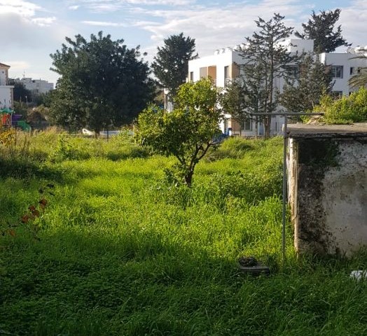 Detached house in Kyrenia, Alsancak, in a 1 decare (1338m2) garden, which needs renovation.