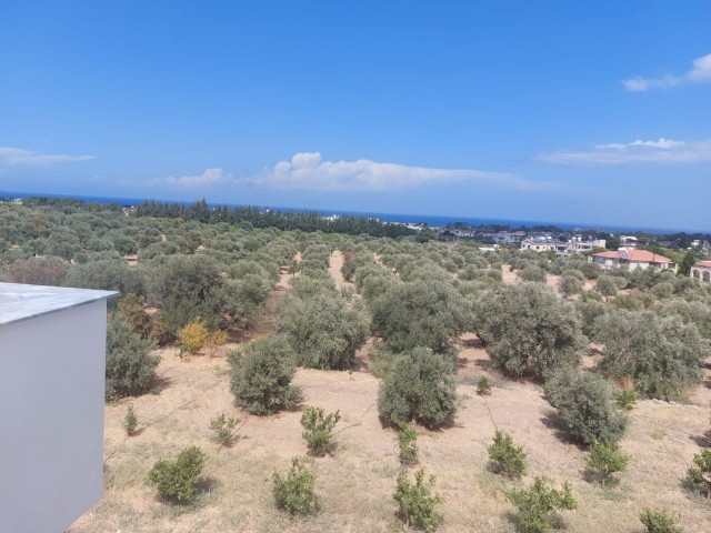 Girne Karsıyaka 4+1 Villa mit 500 m2 Garten.Fertig und bereit.