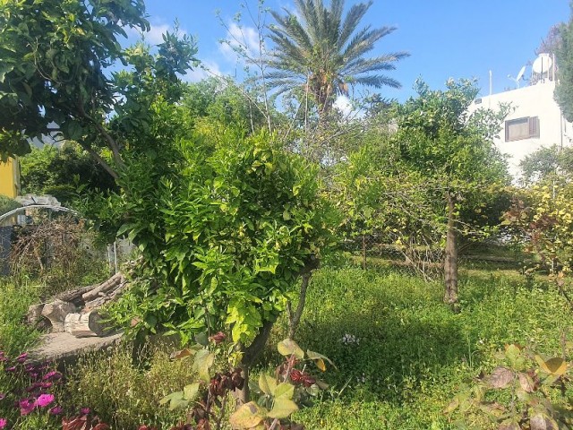 Kyrenia Ozankoy, 4+1 Bangalow, 1000m2 Garten, Wasser gut und Obstbäume. . . 