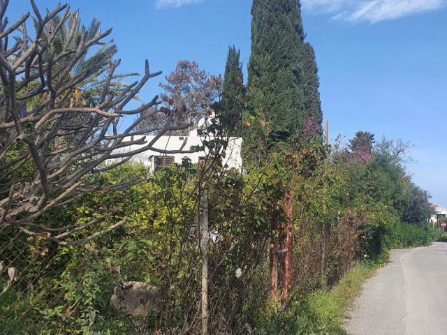 Kyrenia Ozankoy, 4+1 Bangalow, 1000m2 garden, water well and fruit trees. . . 