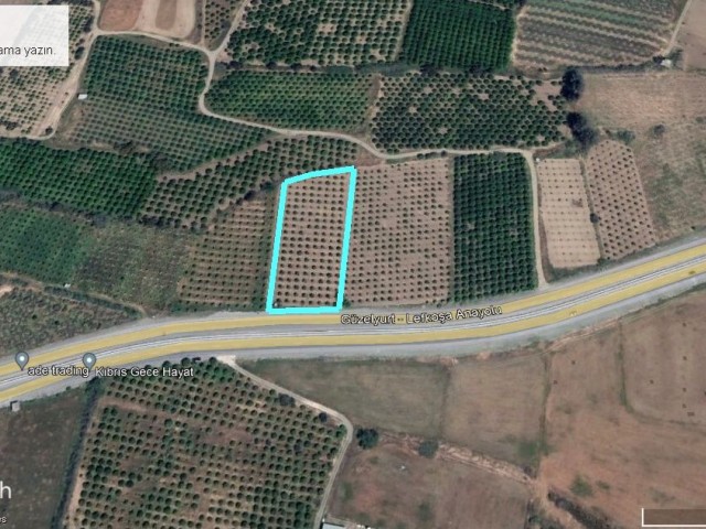 There is a productive citrus orchard on the left side of the road in the direction of Güzelyurt Mevlevi, facing the main road, 3 or 6 or 9 acres of land, with a unit price of 60,000 GBP. In COMMERCIAL status