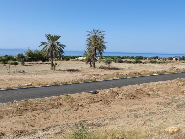 LAND FOR SALE IN TATLISU CLOSE TO THE FOOTBALL FIELD, ASPHALT ROAD, WATER AND ELECTRICITY AVAILABLE