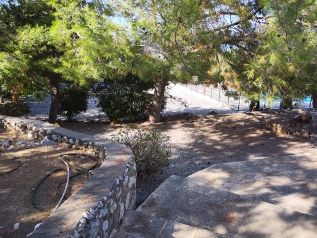 5+2 POOL VILLA FOR SALE IN KYRENIA LAPTA, THERE ARE 15 OLIVE TREE IN ITS GARDEN