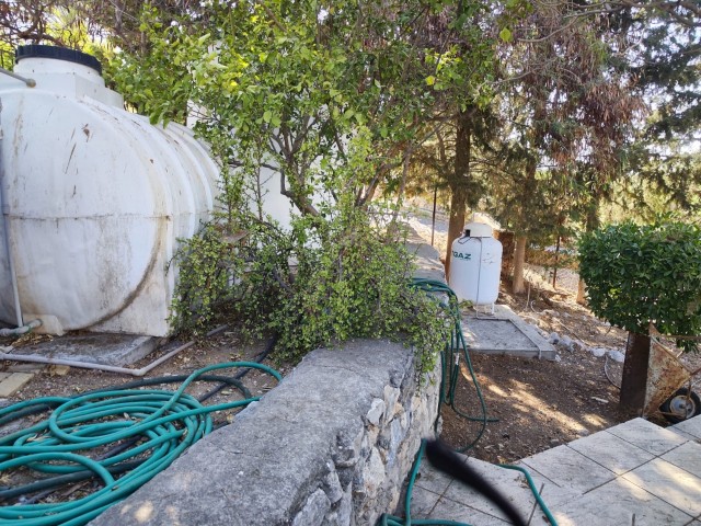 5+2 POOL VILLA FOR SALE IN KYRENIA LAPTA, THERE ARE 15 OLIVE TREE IN ITS GARDEN