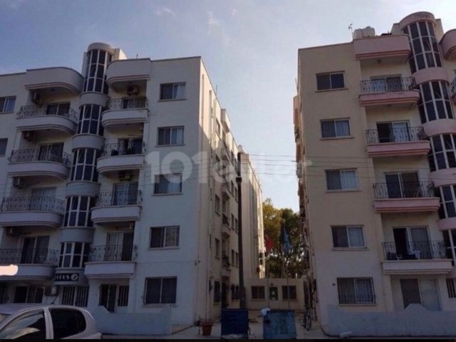 Great Business Opportunity Dream is to run a Highly Successful Rentals Apartments Two Entire Apartment Blocks For Sale Location Sea Front Near Emu University Magusa (Turkish Title Deeds)