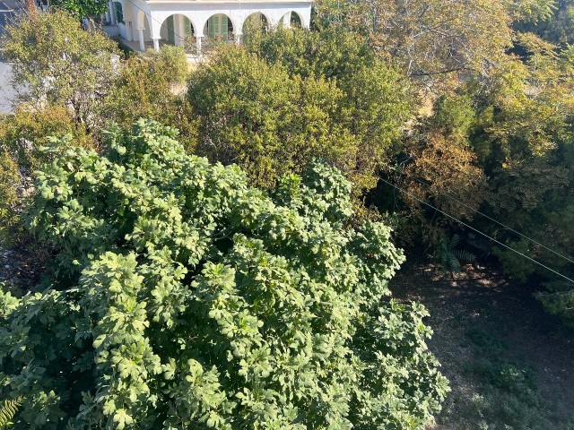 AUTHENTISCHES FREISTEHENDES HAUS ZUM VERKAUF IM ZENTRUM VON KYRENIA, 50 METER VOM DOME HOTEL ENTFERNT, AUF EINEM 1 FESTGELEGTEN GRUNDSTÜCK