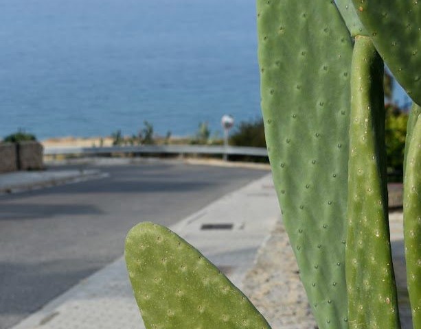 3+1 WOHNUNG ZUM VERKAUF IN GIRNE ESENTEPE CARINGTON, AUF EINEM GRUNDSTÜCK MIT MEERBLICK UND ALLEN ARTEN VON SOZIALEN EINRICHTUNGEN MIT POOL