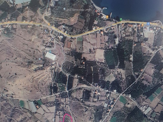 Lefke European University area has not been developed yet, 12100m2 (9 acres) of land for investment, official road is available.
