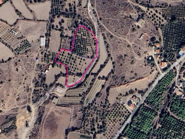 Das Gebiet der Europäischen Universität Lefke ist noch nicht erschlossen, 12.100 m² (9 Acres) Land für Investitionen, eine offizielle Straße steht zur Verfügung.