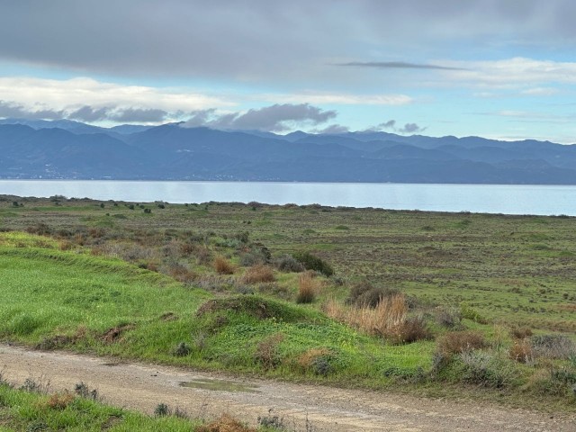 Guzelyurt Yayla, by the sea (in front of the market) with section 96 zoning