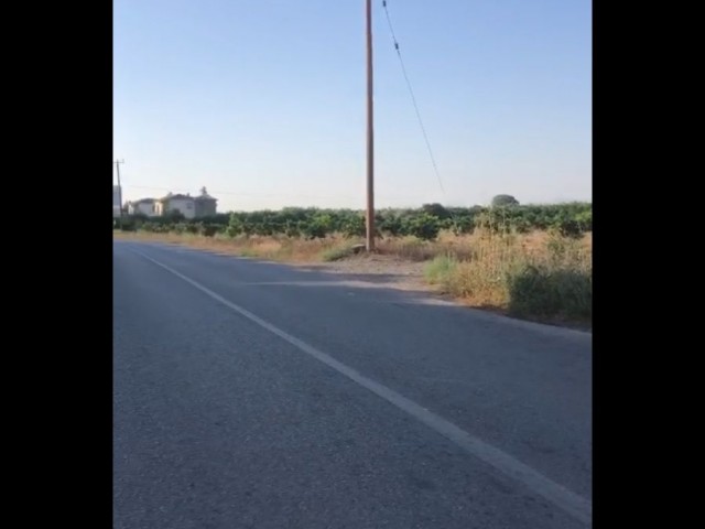 BARGAIN LAND... FOR INVESTMENT.... 200 meters ahead on the left as you proceed to the Guzelyurt Yalyla exit... 10 acres of 1 evlek land with Fasıl 96 residences and commercial perm