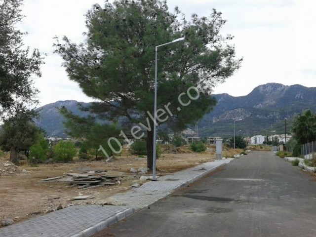 منطقه مسکونی برای فروش in Çatalköy, گیرنه