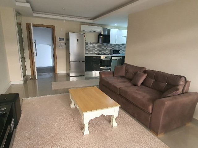 1+1 residans flat, fully furnished  monthly rent near by water raundabound or Barış Park( new modern sofa , 55 inch TV latest model.