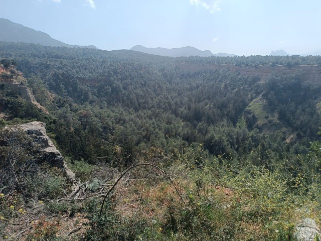 11,5 Hektar großes Grundstück mit herrlichem Meerblick in Karaağaç, Kyrenia