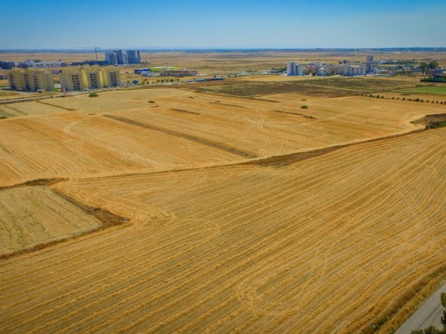 9 acres of land for sale at the pier from the sea