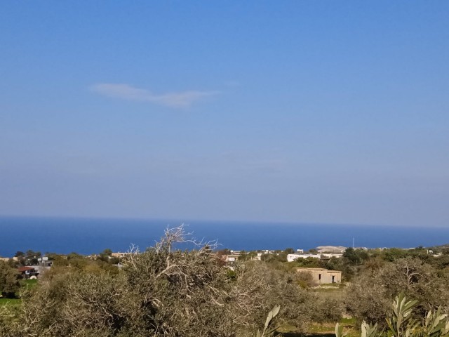 FROM THE SEA 6 acres of land for sale in Karpaz with sea and mountain view