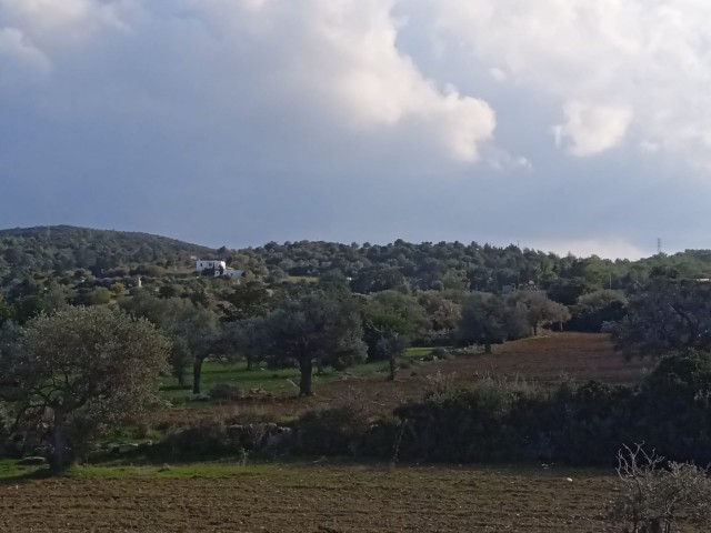 FROM THE SEA 6 جریب زمین برای فروش در کارپاز با دید دریا و کوه