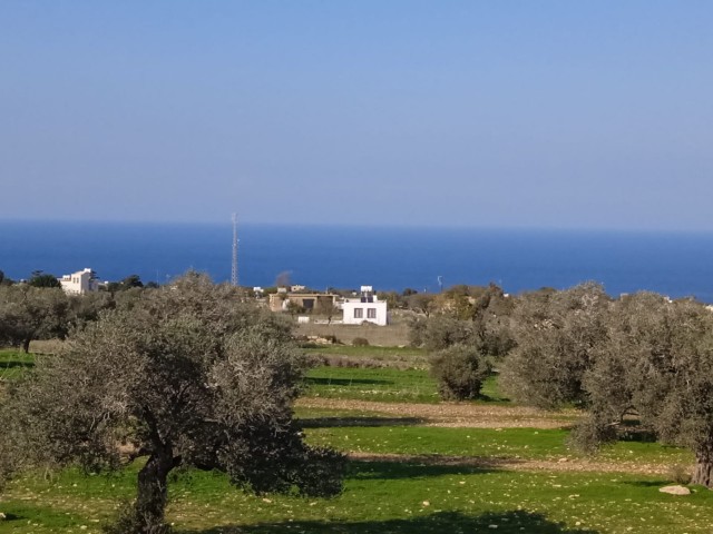 FROM THE SEA 6 acres of land for sale in Karpaz with sea and mountain view