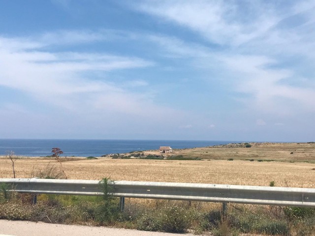 LAND FOR SALE 14.5 acres with sea view in İSKELE SPA FROM THE SEA