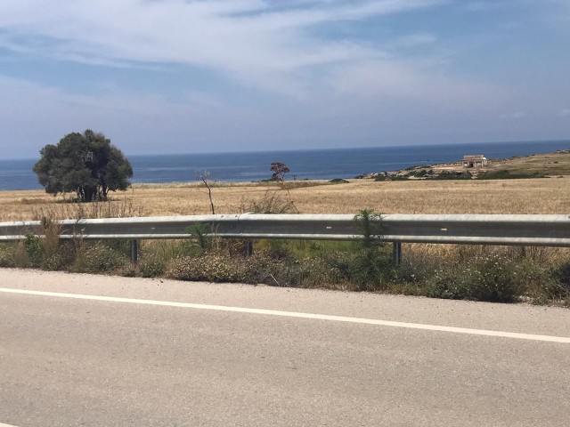 LAND FOR SALE 14.5 acres with sea view in İSKELE SPA FROM THE SEA