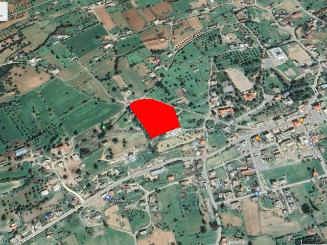 9 ACRES OF LAND FOR SALE AT A BARGAIN PRICE OPEN TO DEVELOPMENT WITH THE ADVANTAGE OF ASPHALT ROAD AND ELECTRICITY WITH SEA VIEW IN A GREAT LOCATION IN DİPKARPADA ADEM AKIN 053383