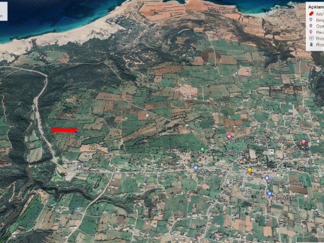 9 ACRES OF LAND FOR SALE AT A BARGAIN PRICE OPEN TO DEVELOPMENT WITH THE ADVANTAGE OF ASPHALT ROAD AND ELECTRICITY WITH SEA VIEW IN A GREAT LOCATION IN DİPKARPADA ADEM AKIN 05338314949
