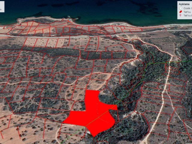 ЗЕМЛЯ НА ПРОДАЖУ С ВИДОМ НА ГОРЫ И МОРЕ В РАЙОНЕ КУРОРТНОГО ПОСЕЛКА ЛИЛИЯ В ТАТЛИСУДЕ С ДОРОГОЙ, ОТКРЫТОЙ ДЛЯ ЗАСТРОЙКИ ADM AKIN 05338314949