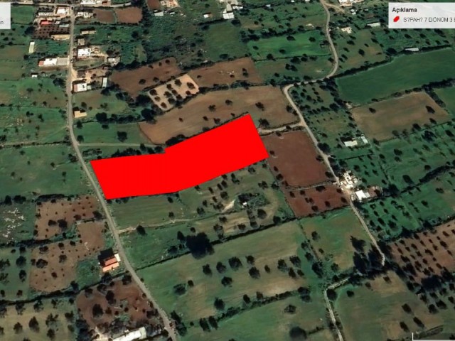 MEERBLICK IN SİPAHİ 9366 M2 GRUNDSTÜCK ZU VERKAUFEN ADEM AKIN 05338314949