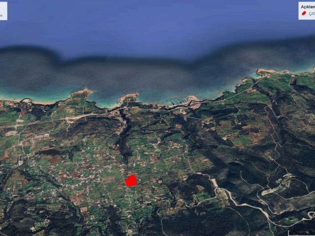 9767 M2 LAND FOR SALE ADEM AKIN 05338314949 WITH WONDERFUL SEA VIEW AND GETA MARINA VIEW IN SİPAHİ