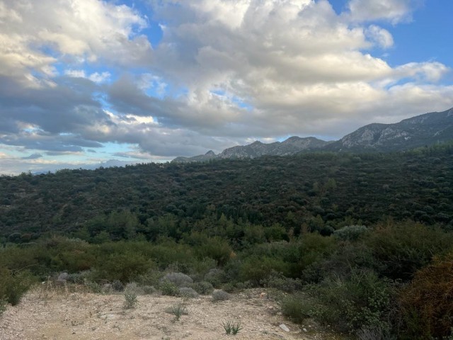 3 DONE 3 EVLEK GRUNDSTÜCK ZUM VERKAUF IN BALLAPAYS MIT MEER- UND BERGBLICK ENTSPRECHEND KOÇANLI ADEM AKIN 05338314949