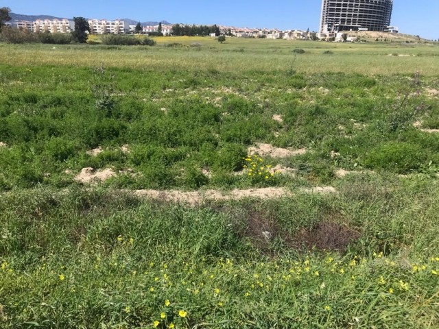 629 N2 LAND FOR SALE, SUITABLE FOR VILLA CONSTRUCTION, BETWEEN CEZAR RIZORT AND SEFA VILLAGE IN THE BOSPHORUS ADEM AKIN 05338314949