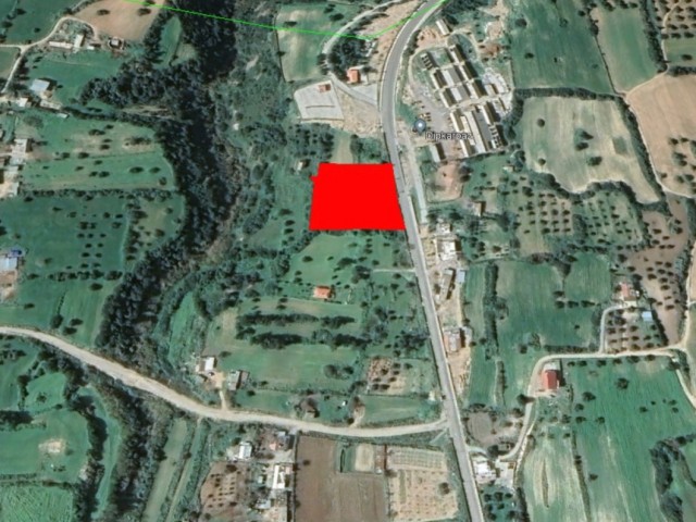 FOR SALE (7309) 5 DONE 2 EVLEK m2 LAND WITH NEW COMMERCIAL LAND IN DIPKARPZ, NEAR THE MAIN ROAD 05338314949