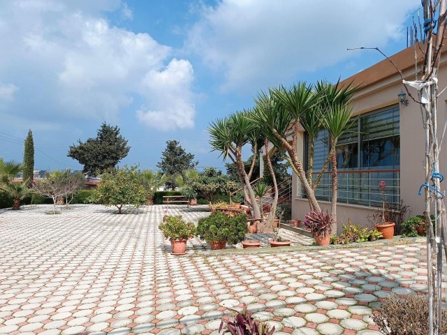 Detached House with Sea View for Sale in Iskele Dipkarpaz