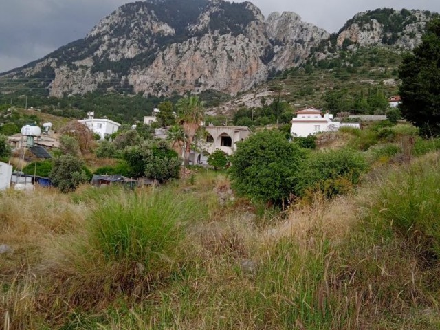 GRUNDSTÜCK ZUM VERKAUF IN KARŞIYAKA / GIRNE