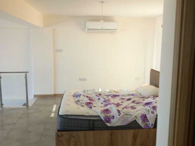 3+1 loft apartment in Alsancak