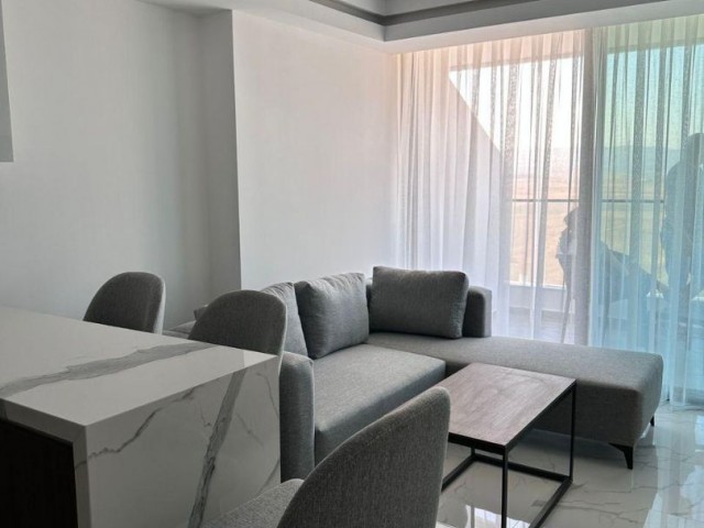 1+1 Lux and fully furnished apartment