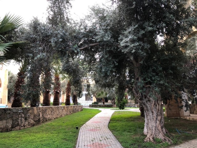 Kyrenia Zentrum; Rund um das Lord Palace Hotel, 1+1 Appartement in einem Komplex mit gemeinschaftlichem Pool