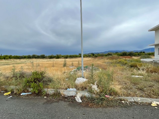 GRUNDSTÜCK GEEIGNET FÜR VILLENBAU IN DER NÄHE DER HAUPTSTRASSE VON GÜZELYURT-LEFKOŞA IN DER REGION LEFKE DOĞANCI