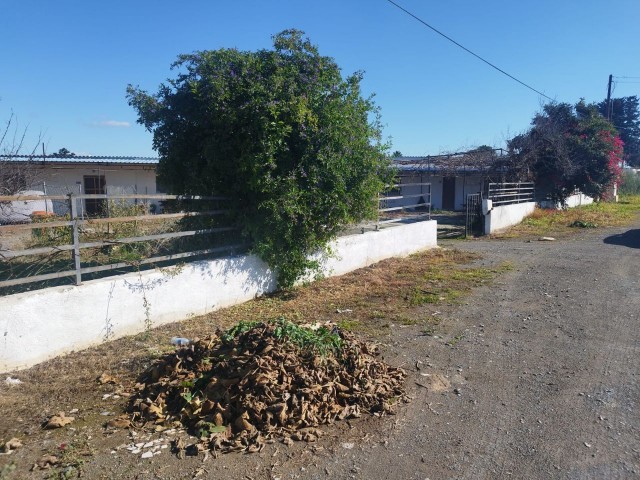 LAND FOR SALE ON GÜZELYURT - AKÇAY HIGHWAY