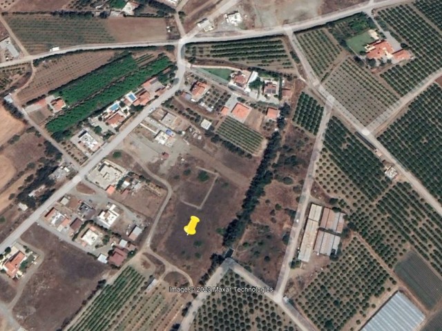 5 acres of Turkish titled land by the sea in Gaziveren.