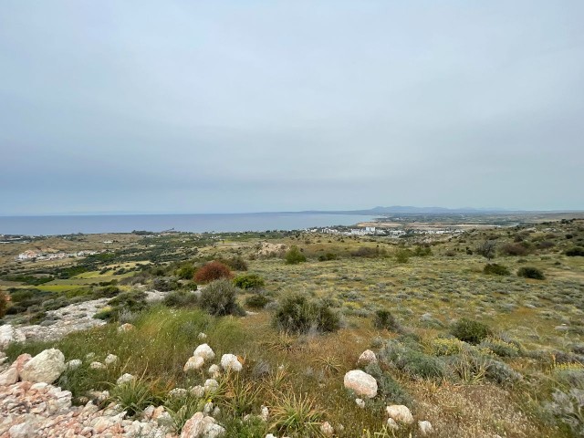 LAND FOR SALE IN LEFKE BAĞLIKÖY WITH OR WITHOUT A PROJECT WITH TURKISH DEED