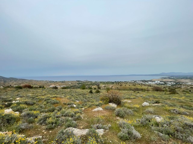 LAND FOR SALE IN LEFKE BAĞLIKÖY WITH OR WITHOUT A PROJECT WITH TURKISH DEED