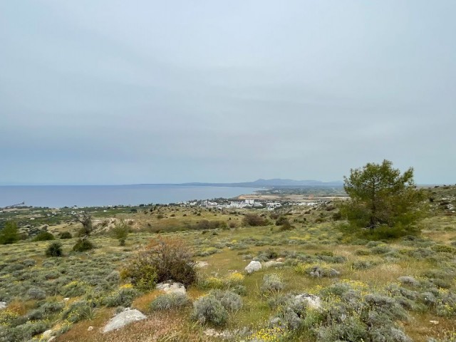 LAND FOR SALE IN LEFKE BAĞLIKÖY WITH OR WITHOUT A PROJECT WITH TURKISH DEED