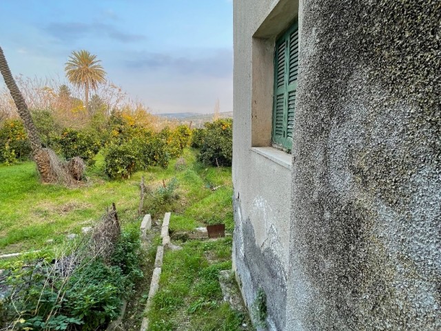 GRUNDSTÜCK UND DORFHAUS ZUM VERKAUF IN LEFKE, OFFEN FÜR ANGEBOTE ZUM VERKAUF ODER DIREKT ZUM VERKAUF DURCH DEN EIGENTÜMER UND HANDEL