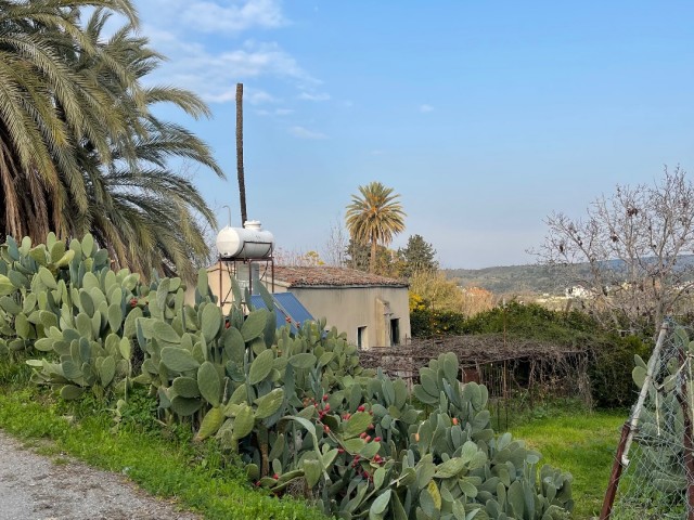 LAND AND VILLAGE HOUSE FOR SALE IN LEFKE, OPEN TO OFFERS FOR SALE OR DIRECTLY FOR SALE BY THE OWNER AND TRADING