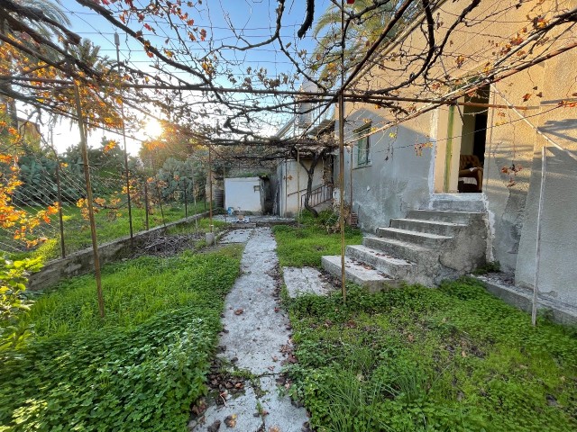 LAND AND VILLAGE HOUSE FOR SALE IN LEFKE, OPEN TO OFFERS FOR SALE OR DIRECTLY FOR SALE BY THE OWNER AND TRADING